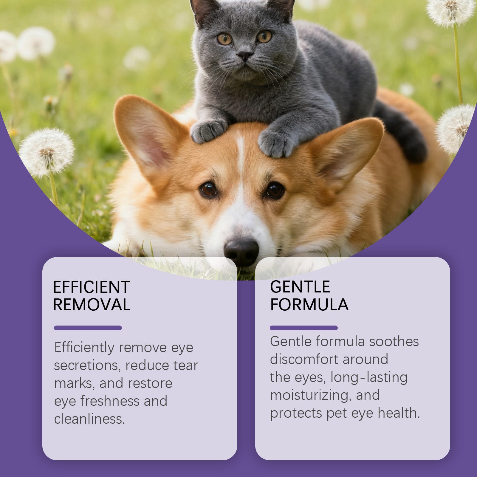 Pet Eye Drops